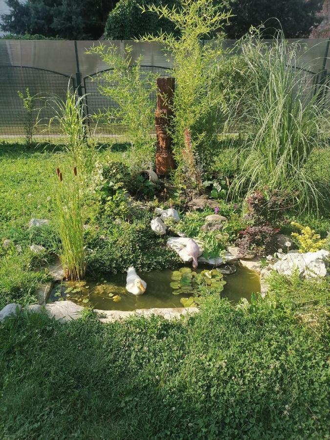 Apartman Garden House Voždivac Exterior photo